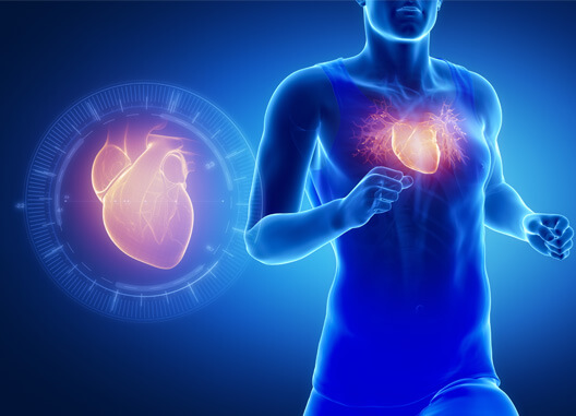 nuclear cardiology